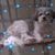 Carol Bledsoe Miller's profile image