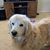 Pam Saxton's profile image