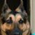 Sandy Wittliff's profile image