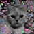 Mae Petrie's profile image
