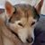 Jill Benoit Cowart's profile image