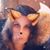 Meaghan Ford Brewer's profile image