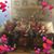 Beth Steffens's profile image