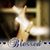Kelly Slusser Kincaid's profile image