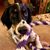 Donja Esk's profile image