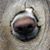 Jim McArdle's profile image