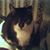John Feaster's profile image
