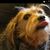 Joseph Paul Nicolella's profile image