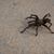 Shirley Grogg's profile image