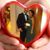 Aneury Pozo's profile image