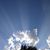 Susan Goforth's profile image