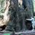 Jeffrey D Mankin's profile image