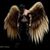 Jan Sepich McNerney's profile image