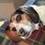 Lisa Nieman's profile image