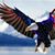 Jim Stoddard's profile image