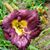 Kelly Tharp's profile image