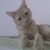 Jane Ferrell's profile image