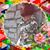 Donna BlackPearl Nevins-Davidson's profile image