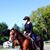 Monica L. Bulla's profile image