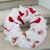 Dorcas Mertes's profile image