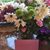 Robin Sue Moyher's profile image