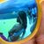 Amber Sullivan's profile image