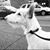 Brittany Reding's profile image