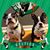Dawn Graham Lowery's profile image