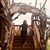 Kimarie Morello's profile image