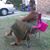 Ireece Silva's profile image