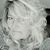 Lisa Hines's profile image