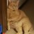 Penny Didier's profile image