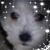 Diane Bozin Lamont's profile image