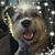 Jessica Helgeson's profile image