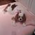 Carol Floyd Thompson's profile image