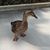 Judy Cole Dority's profile image