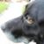 Mary Carlson Heitzenrater's profile image