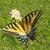 Michelle Berkery Jennings's profile image