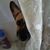 Michele C. Gillen's profile image