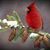Michele Evans's profile image