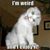 Saundra Martin Ferrara's profile image