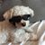 David Mary Dunks's profile image