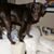 Jennifer Ulmer Horvath's profile image