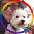 Vicki Aucremanne's profile image