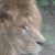 John Bowers's profile image