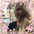 Dana Petras Hollcroft's profile image