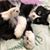 Michelle Kascak's profile image