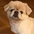 Anna Osso's profile image