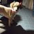 Carol Schatzke's profile image