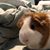 Dawn Sams's profile image